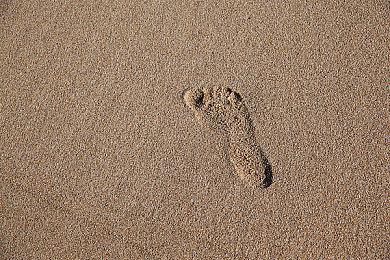 《守望先锋：归来》雾子新皮肤引热议 像2077角色米斯蒂？